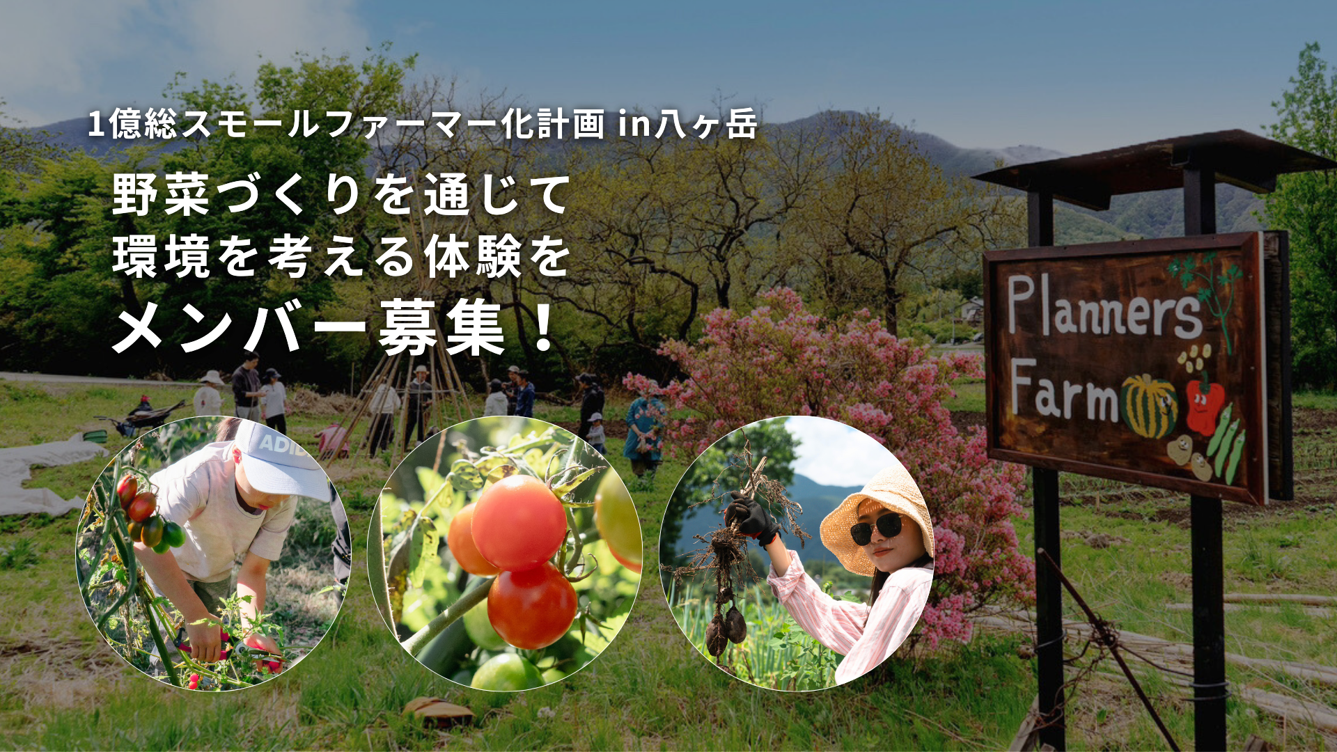 八ヶ岳エリア・山梨県小淵沢にてリジェネラティブな畑をつくる人気